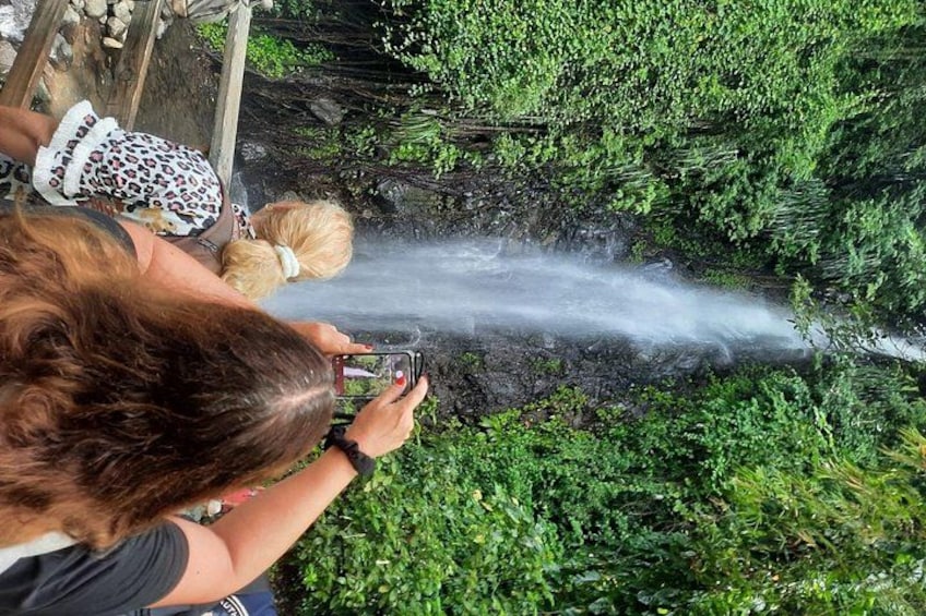 Dark View Falls & Botanical Gardens with Trubb Taxi Tours 2