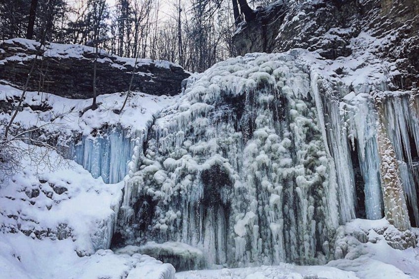 A frozen waterfall surrounded by snow-covered trees. 4