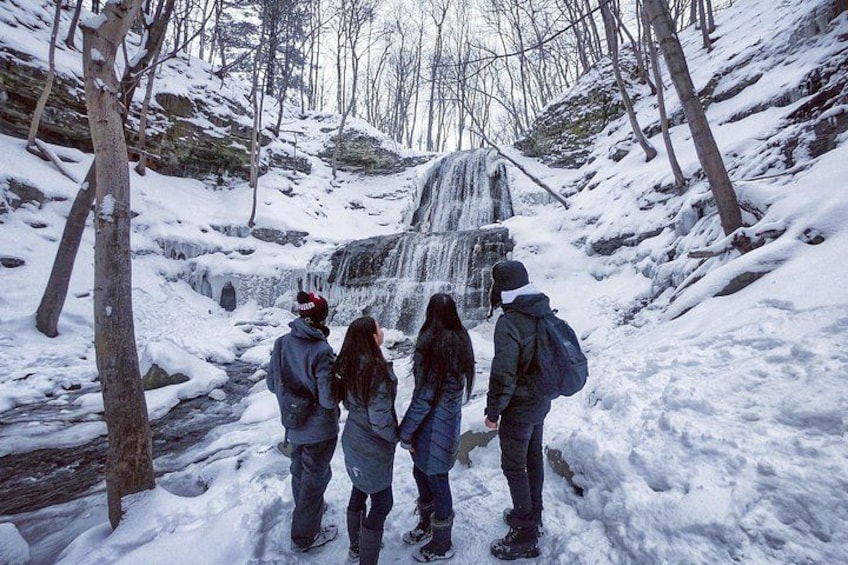 A group of people standing on a snow-covered path looking at a waterfall. 2