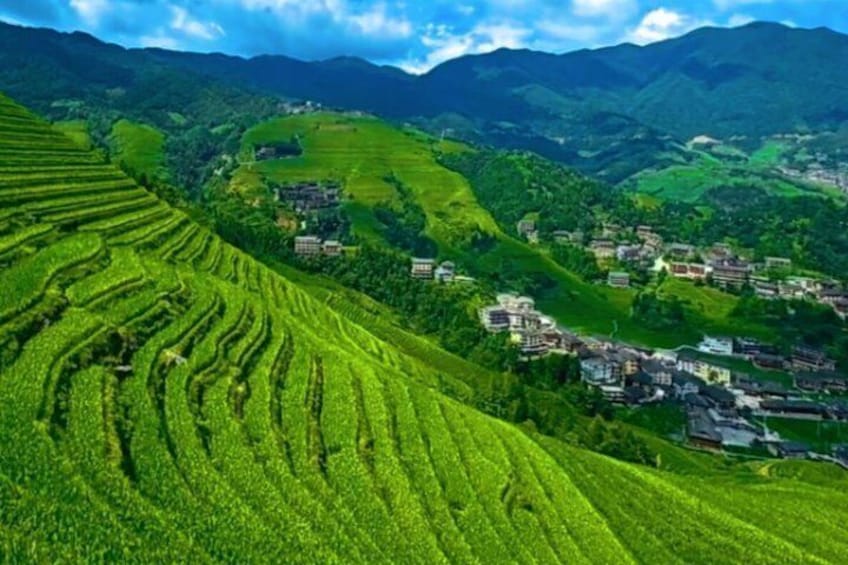 Terraced tea plantations, a village, and rolling hills. 4