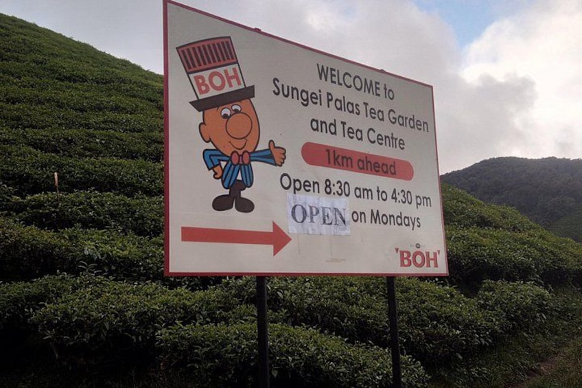 Cameron Highlands Day Trip 5