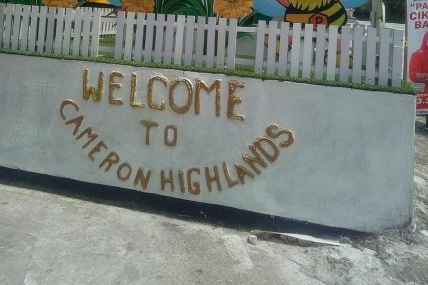 Cameron Highlands Day Trip 4