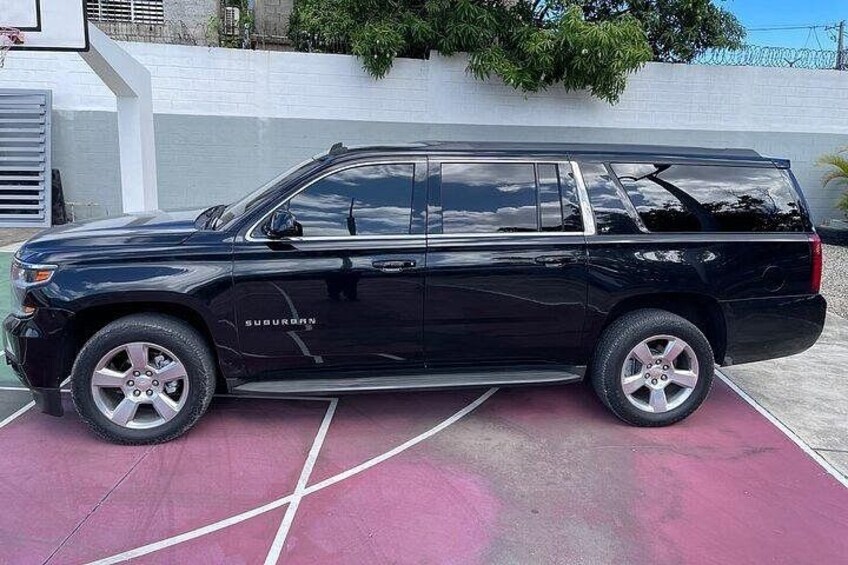 A black SUV parked on a purple surface with white lines, a white wall, and green foliage in the background. 3
