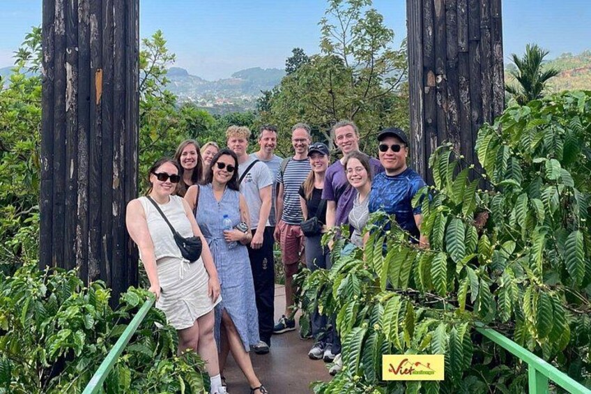 Coffee Plantation 2