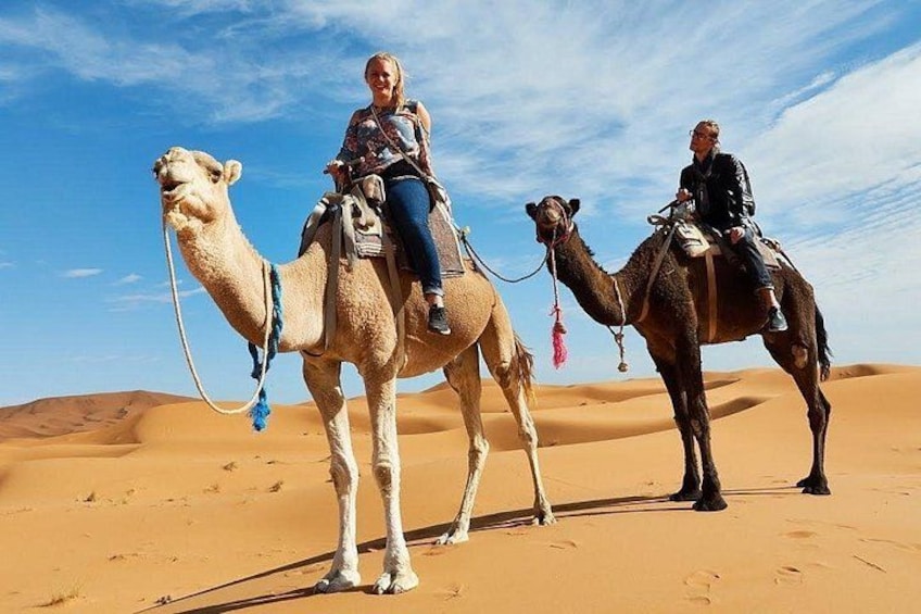Two people riding camels in a desert with sand dunes. 1