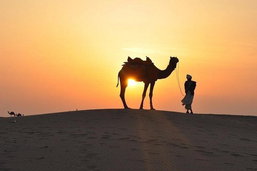 A camel with a rider in a desert at sunset. 3