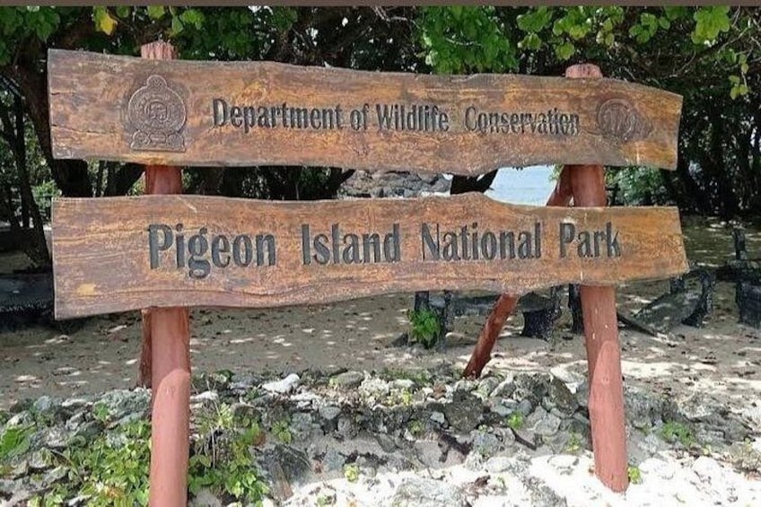 Pigeon Island Snorkeling – Swim with Sharks & Turtles 3