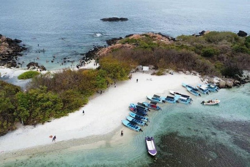 Pigeon Island Snorkeling – Swim with Sharks & Turtles 2
