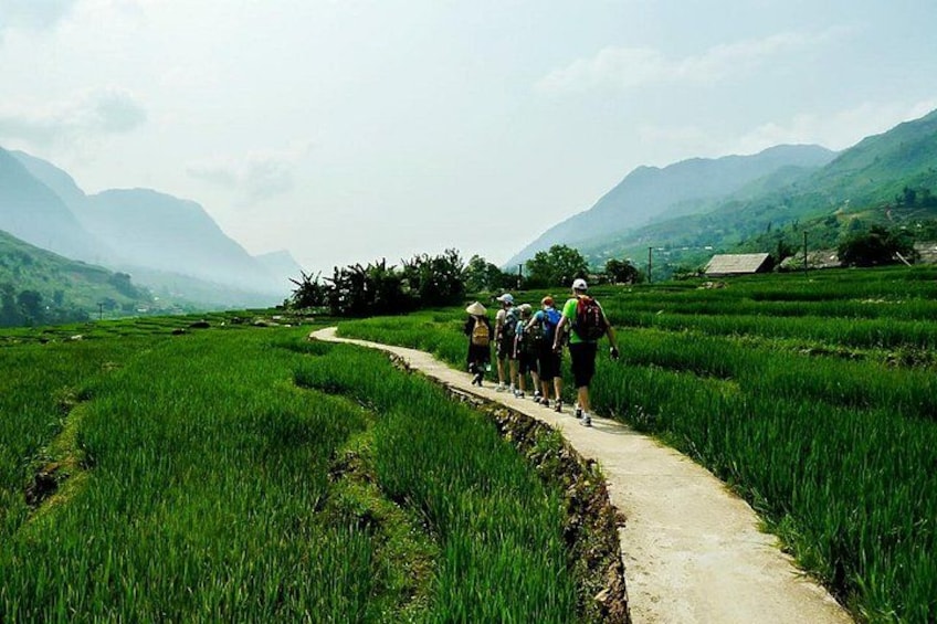 A group of people hiking on a narrow path through a rice paddy field with mountains in the background. 5
