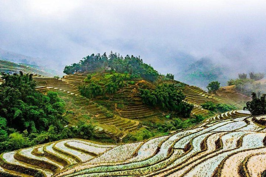 Terraced rice fields, lush greenery, and a misty mountain backdrop. 2