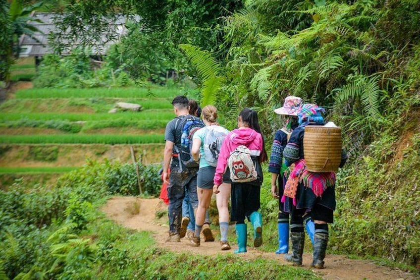 A group of people hiking on a dirt path surrounded by lush greenery and terraced fields. 1