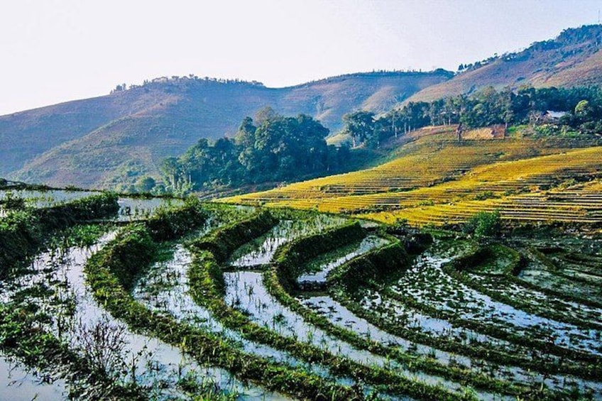 Terraced rice fields with water channels, a hilly landscape, and a distant hilltop. 3