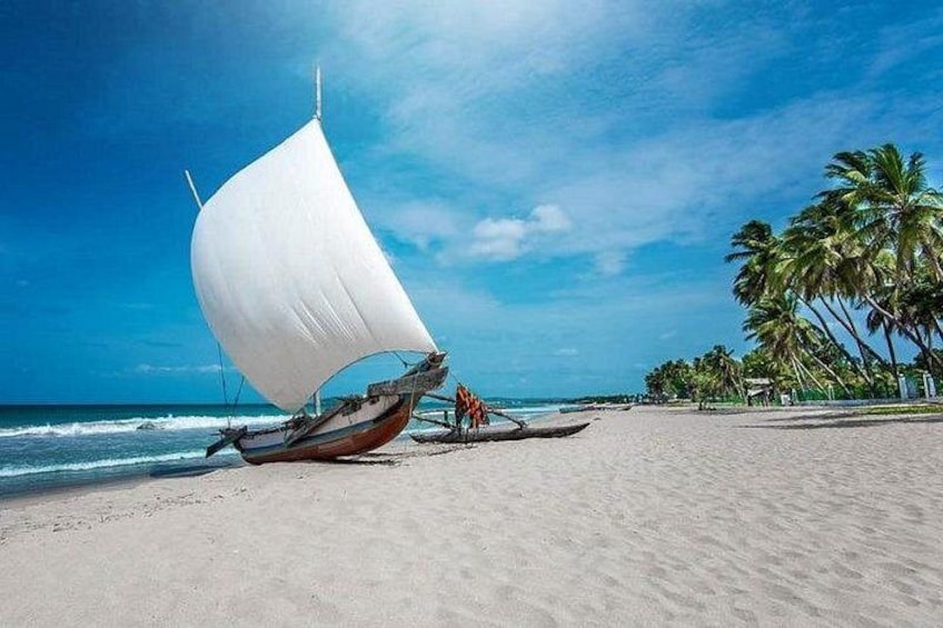 Un velero en una playa arenosa con palmeras al fondo. 1