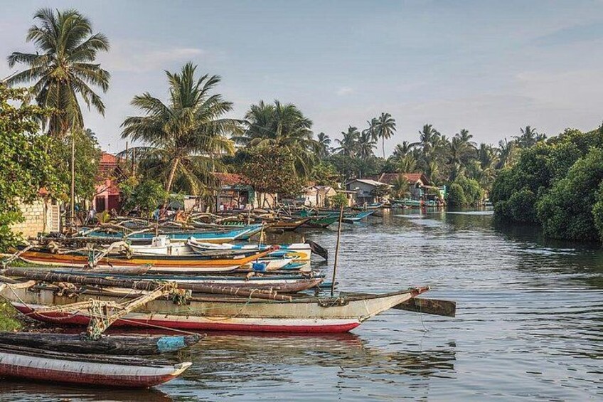 Un río con barcos amarrados a la orilla, rodeado de palmeras y casas. 3