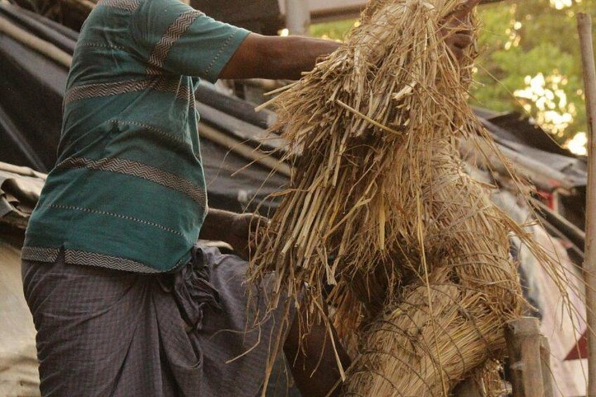 Una persona maneggia un grosso fascio di materiale vegetale essiccato, probabilmente per uso agricolo. 4