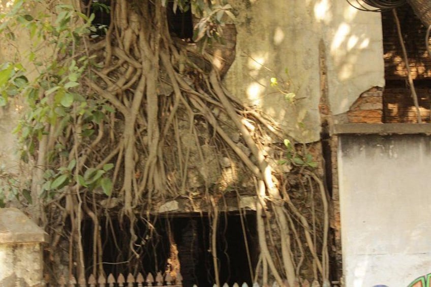 Kolkata - A Sea of Faces and A Thousand Places (local guide) 5