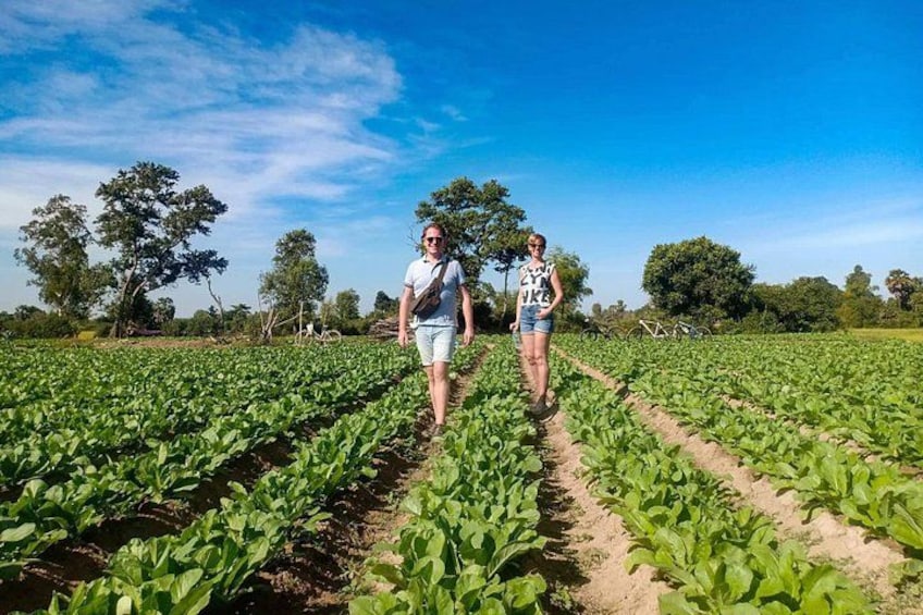 Two people walking through a field of green plants. 5