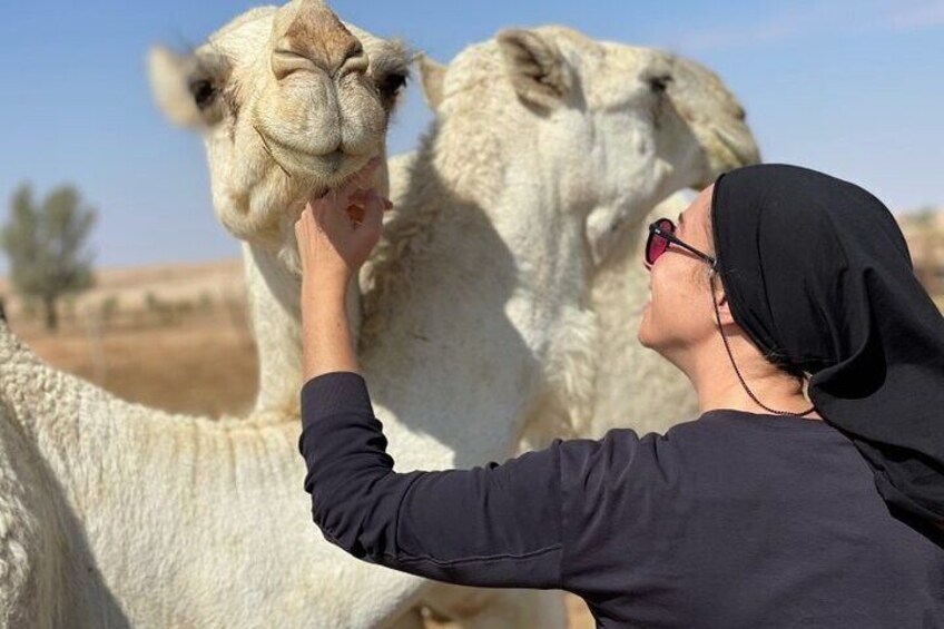 The Original Local Tour in Riyadh 