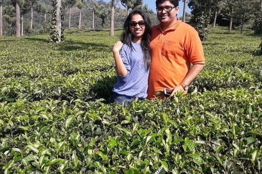 2 Nights Misty Munnar Sightseeing (Private Tour with Car) - Iris Holidays 2
