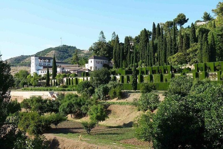 Alhambra, Nasrid Palaces, Generalife and Alcazaba Private Tour in Granada 4