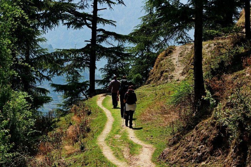 Trek's around Mussoorie 5