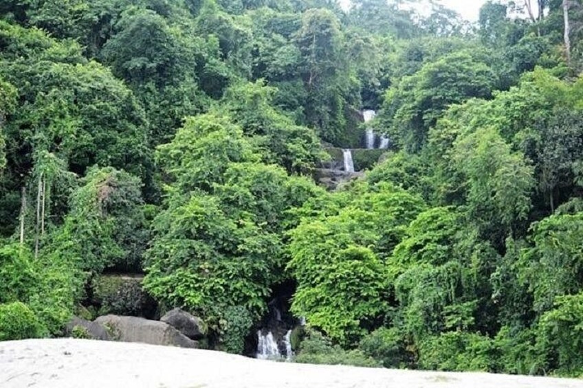 A waterfall surrounded by dense green foliage. 4