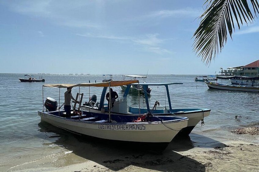 Boat and Snorkeling in West End (Blue Channel, The Aquarium, Turtle Crossing) 2