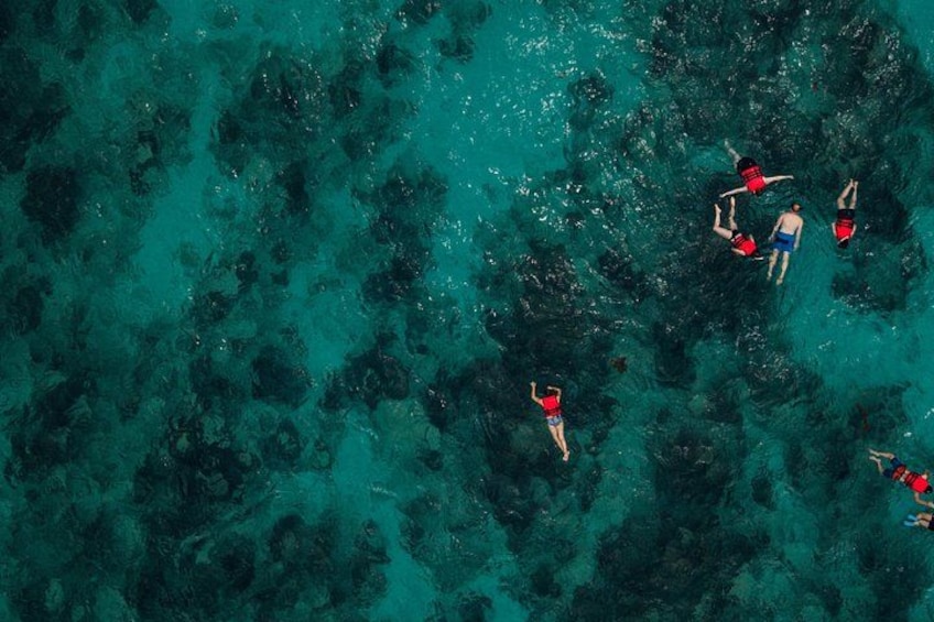 Boat and Snorkeling in West End (Blue Channel, The Aquarium, Turtle Crossing) 2