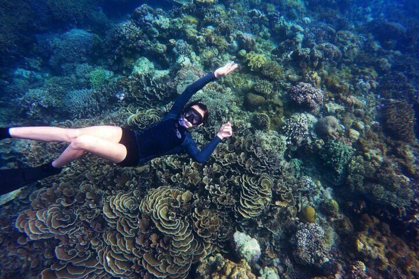 Boat and Snorkeling in West End (Blue Channel, The Aquarium, Turtle Crossing) 4