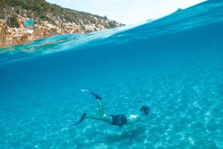 Boat and Snorkeling in West End (Blue Channel, The Aquarium, Turtle Crossing) 2