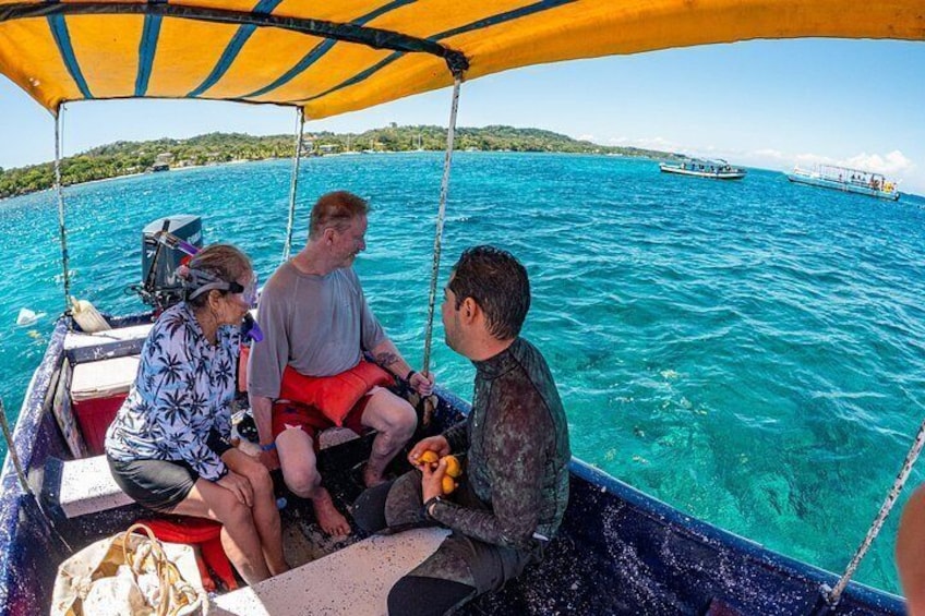 Boat and Snorkeling in West End (Blue Channel, The Aquarium, Turtle Crossing) 3