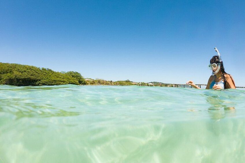 East End Tour (Mangroves, Punta Gorda, Port Royal) with Snorkeling Option 4