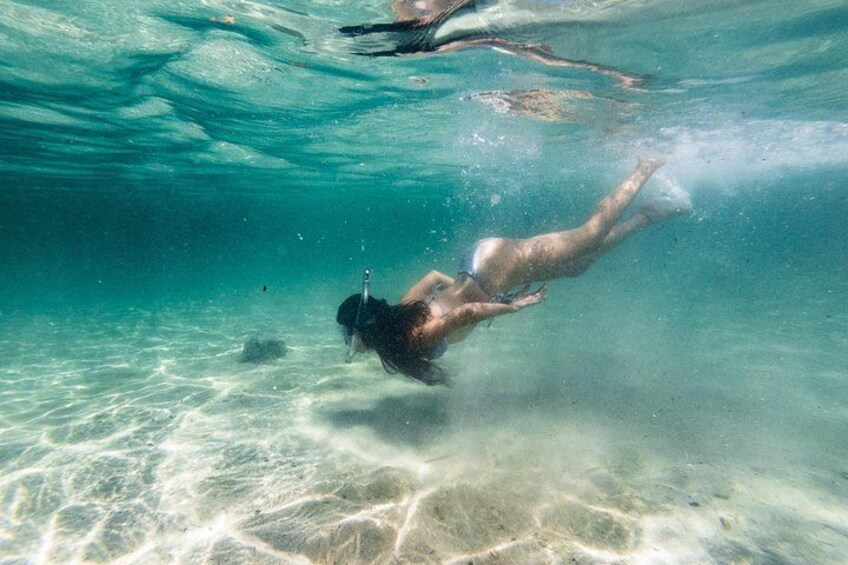 East End Tour (Mangroves, Punta Gorda, Port Royal) with Snorkeling Option 5