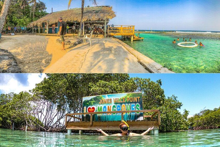 East End Tour (Mangroves, Punta Gorda, Port Royal) with Snorkeling Option 3
