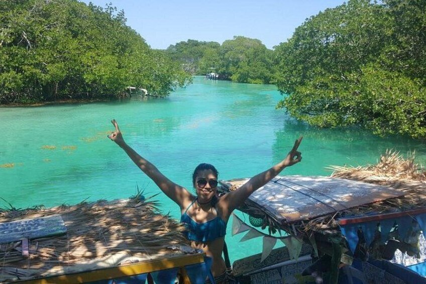 East End Tour (Mangroves, Punta Gorda, Port Royal) with Snorkeling Option 1