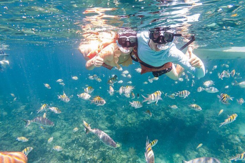 Kayak and Snorkeling Adventures in West End 3
