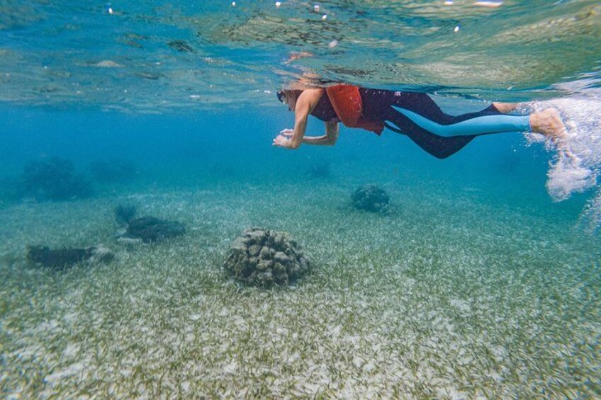 Kayak and Snorkeling Adventures in West End 4