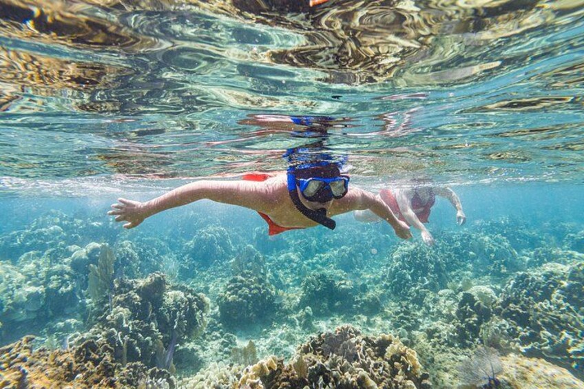 Kayak and Snorkeling Adventures in West End 2