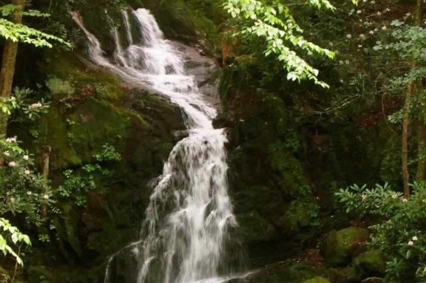 A waterfall cascading over rocks in a forested area. 4