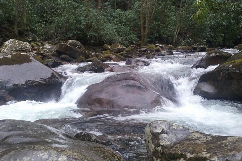 A river flowing over rocks in a forested area. 5