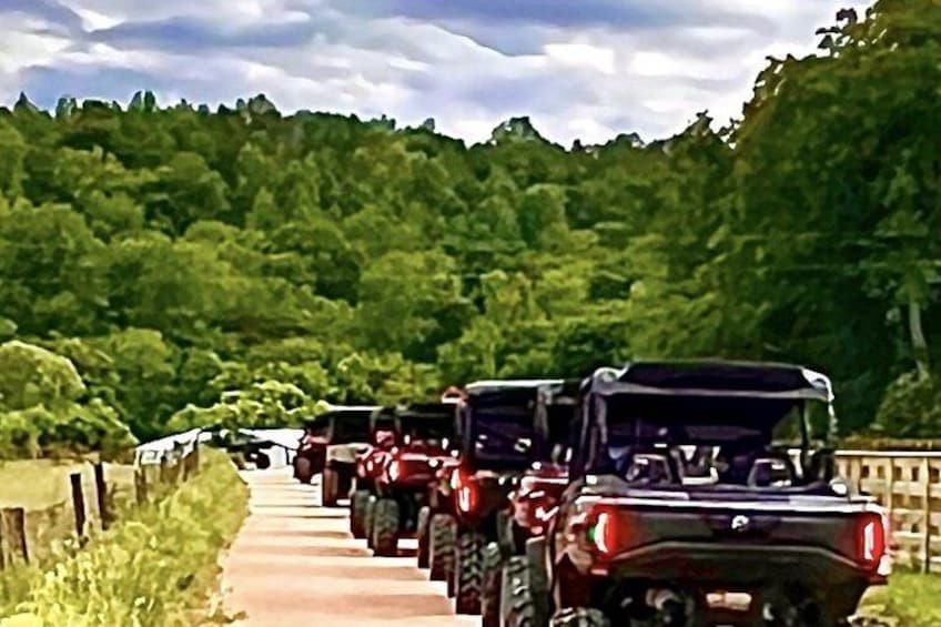 A line of vehicles on a road with a forested hill in the background. 3