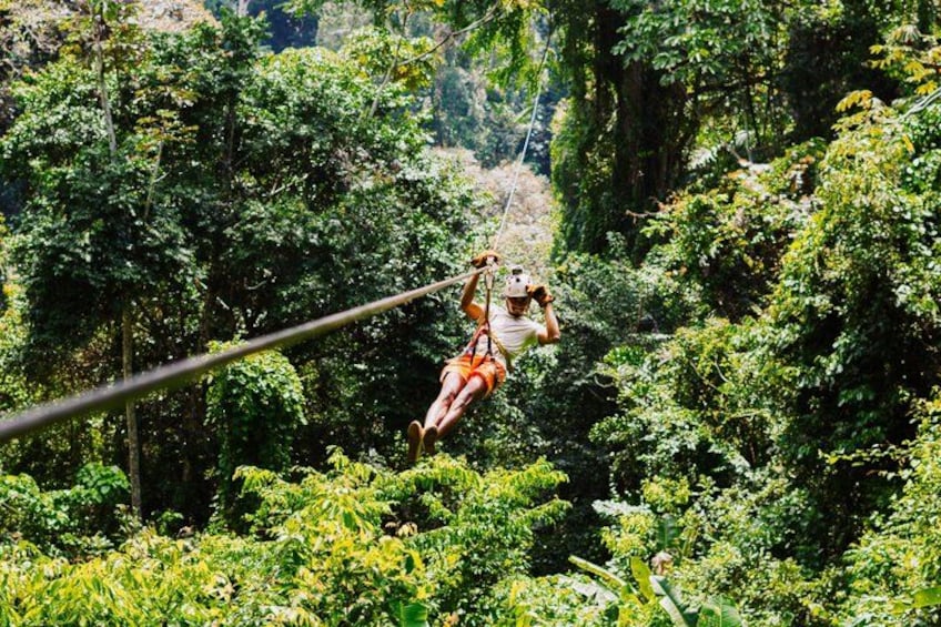 Una persona che sfreccia in zip-line attraverso una fitta foresta. 1