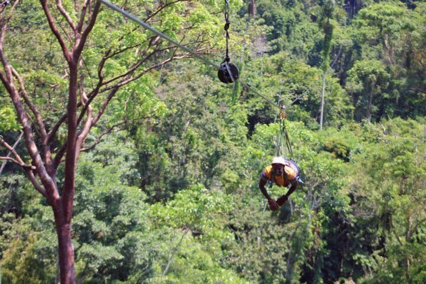 Una persona suspendida en un bosque, asegurada con un arnés y una cuerda. 4