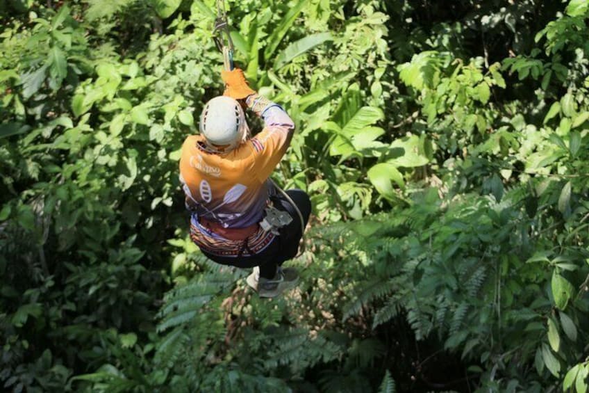 Una persona deslizándose en tirolesa a través de una vegetación densa. 3