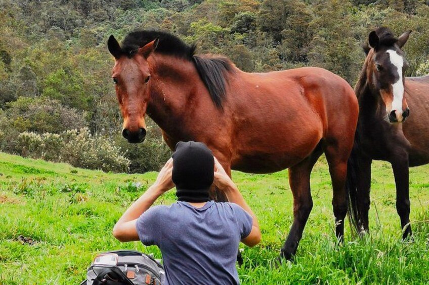 Photography opportunities 1