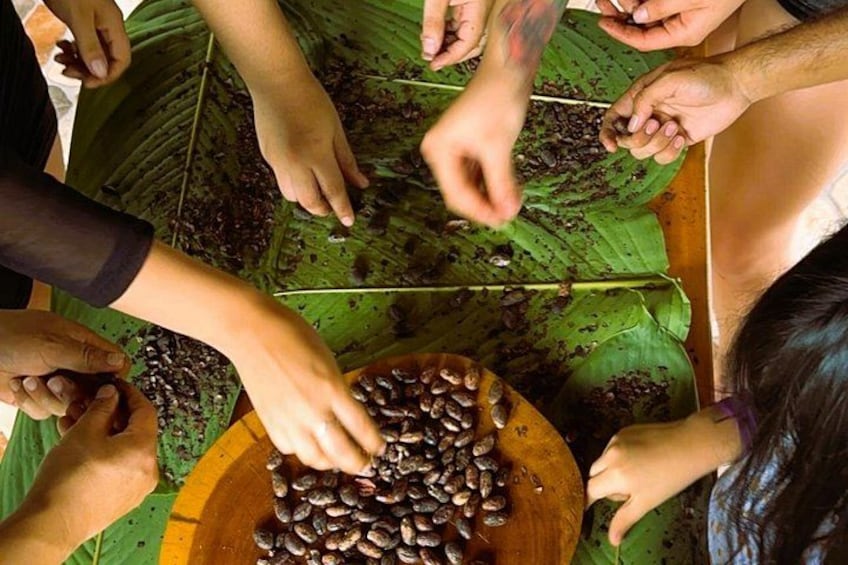 People harvesting coffee beans from a wooden board. 3