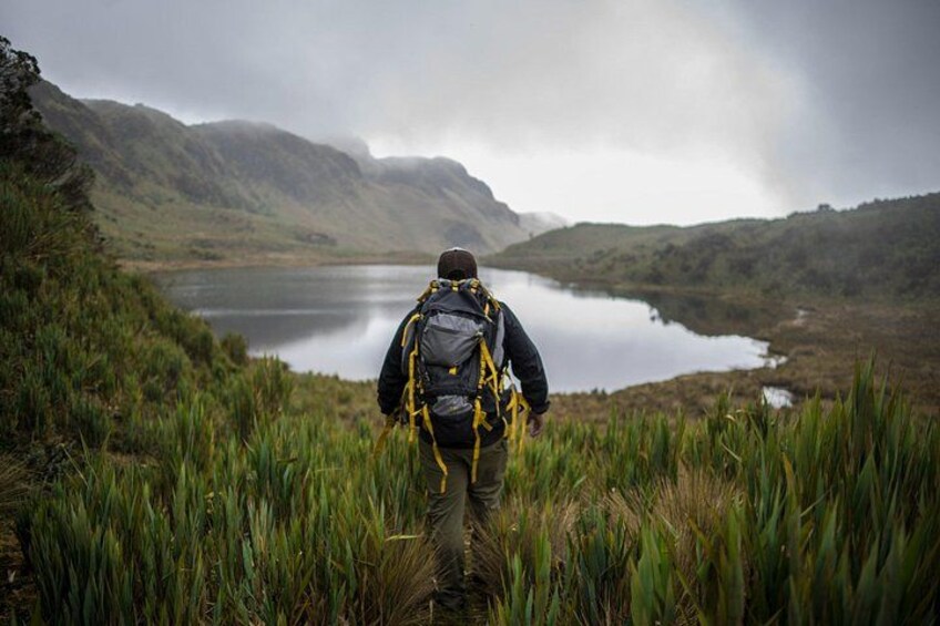 DAY 5: CLOUD FOREST | PAPALLACTA LAGOON 2