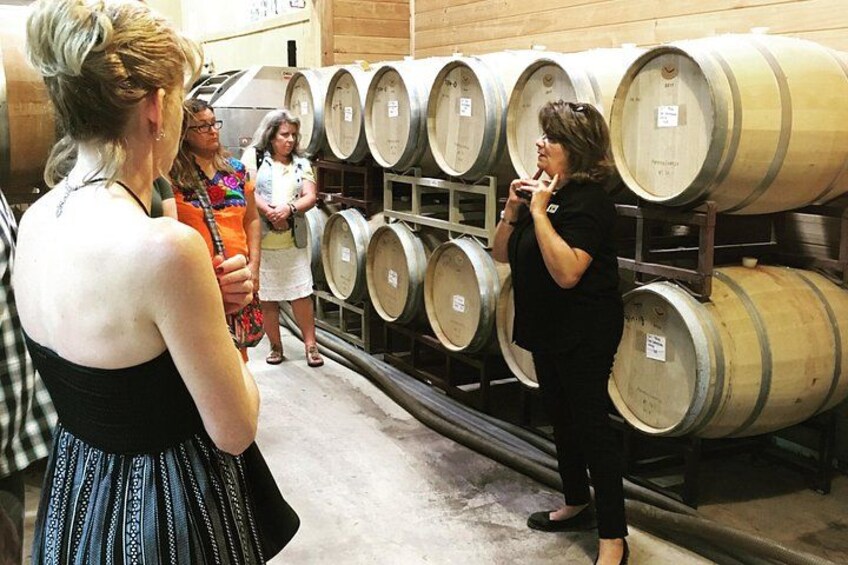 Taste of Fredericksburg Small-Group Wine Tour from San Antonio 5