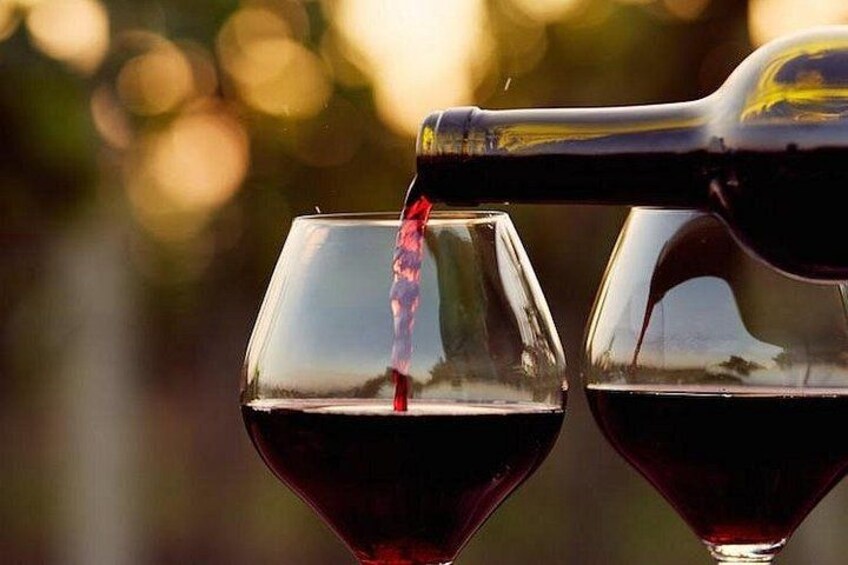 Guadalupe Wine Valley Tour 1