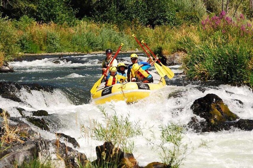 Half-Day Rogue River Rafting with Indigo Creek 1
